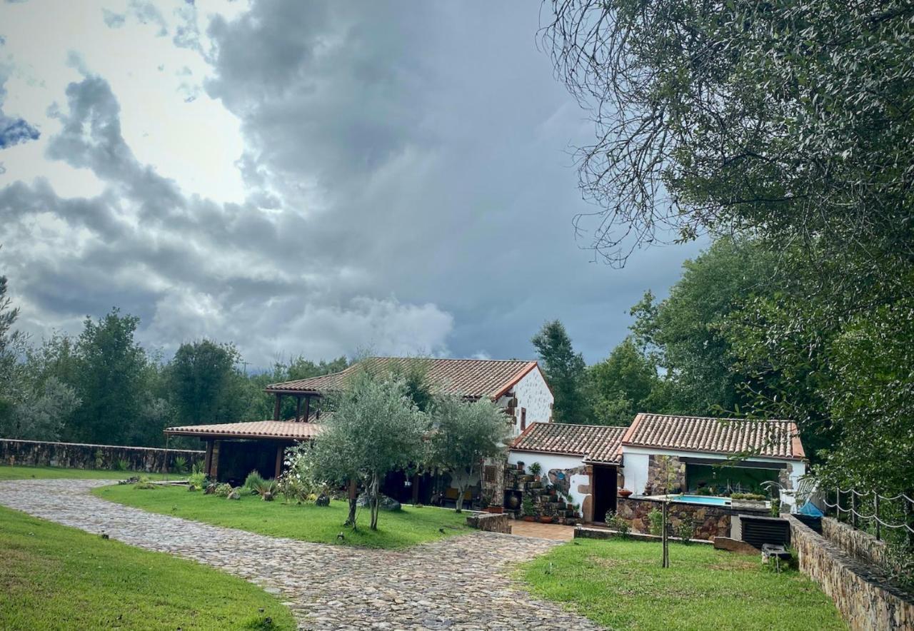 The Old Watermill Retreat - O Retiro Da Azenha Velha Apartment Vila Nova de Poiares Exterior foto