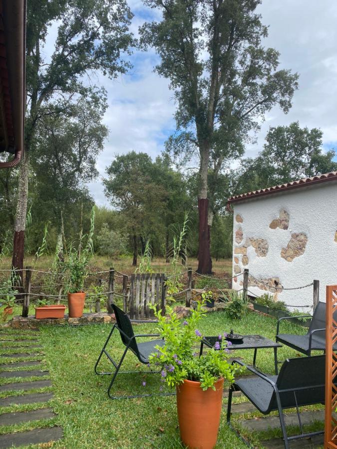 The Old Watermill Retreat - O Retiro Da Azenha Velha Apartment Vila Nova de Poiares Exterior foto